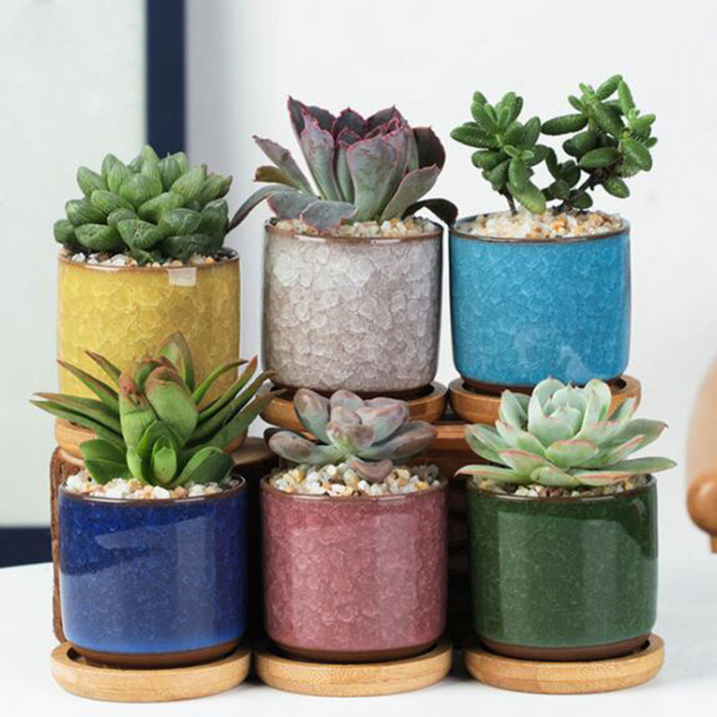 Echeveria Succulent - 6 шт./компл., керамический цветочный горшок, мини-крючок,
