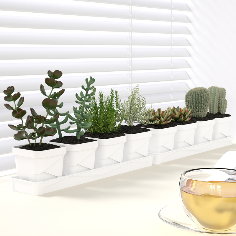 Echeveria Succulent - Скандинавский минималистичный горшок для суккулентов с