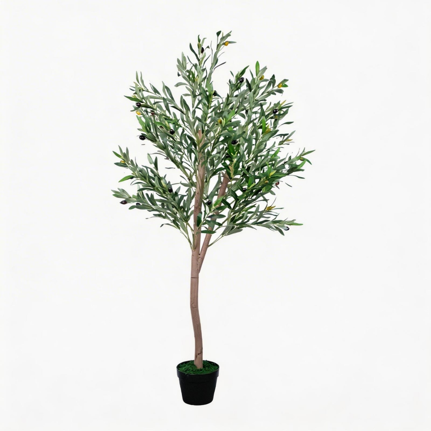 Искусственное оливковое дерево – обзор и цена Dracaena Marginata