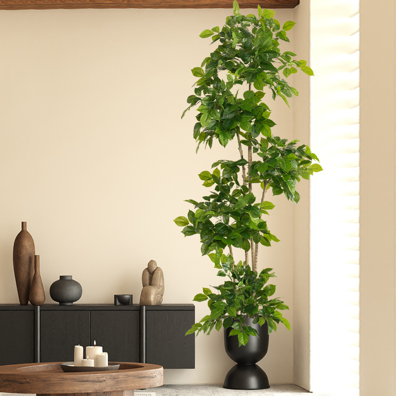 2-78 дюймов большие искусствен – обзор и цена Dracaena Marginata