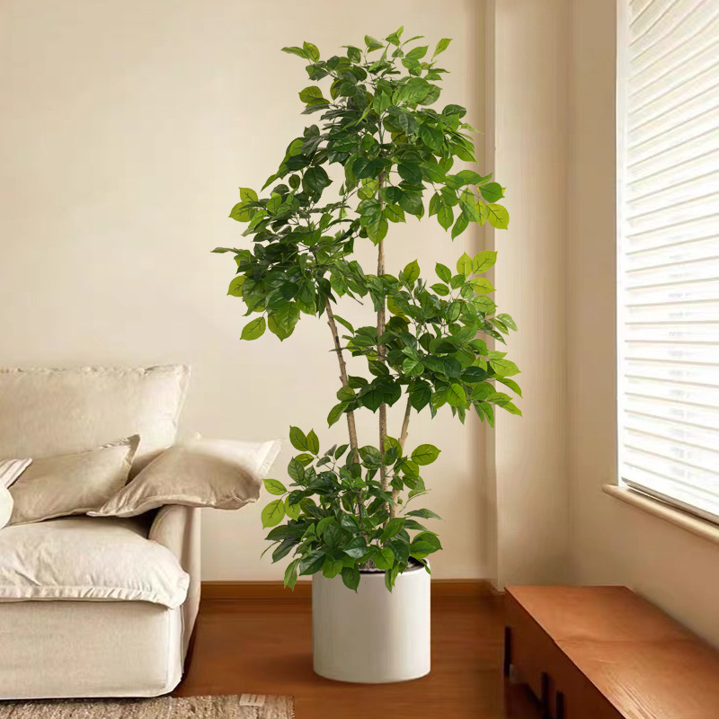 2-78 дюймов большие искусствен – обзор и цена Dracaena Marginata
