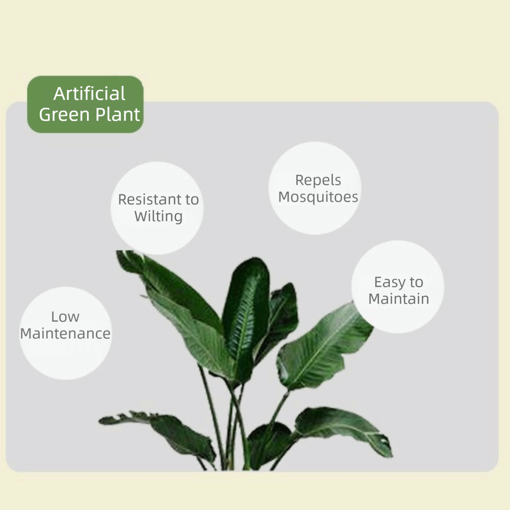 Искусственное дерево фикус из  – обзор и цена Dracaena Marginata