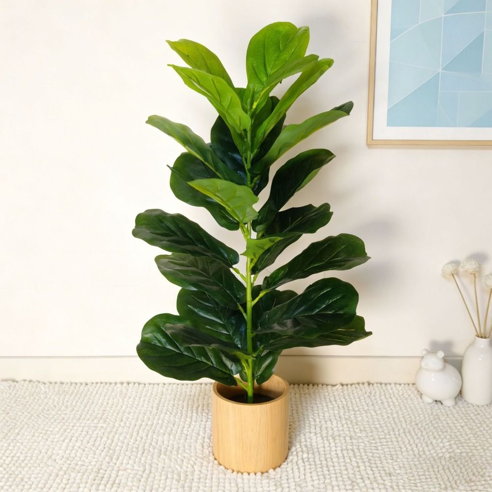 Искусственное дерево фикус из  – обзор и цена Dracaena Marginata