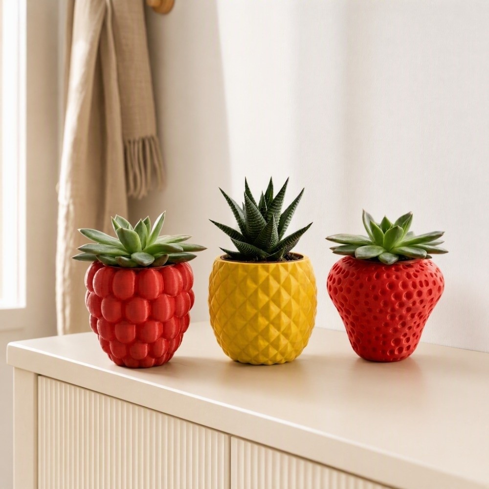 Пластиковый горшок для фруктов – обзор и цена Echeveria Succulent