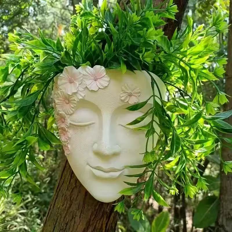 Креативный настенный цветочный – обзор и цена Echeveria Succulent