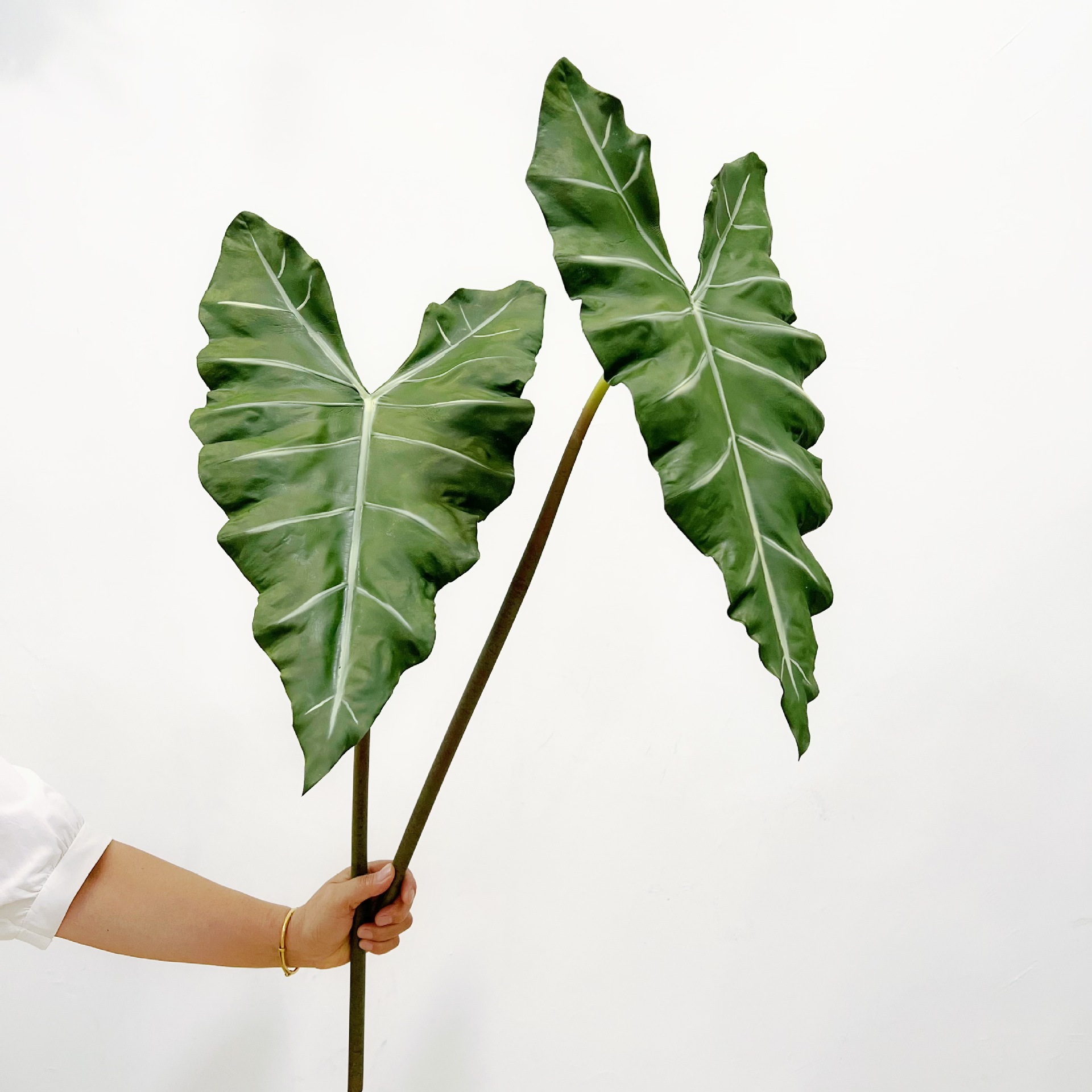 Имитация длинного искусственно – обзор и цена Dracaena Marginata