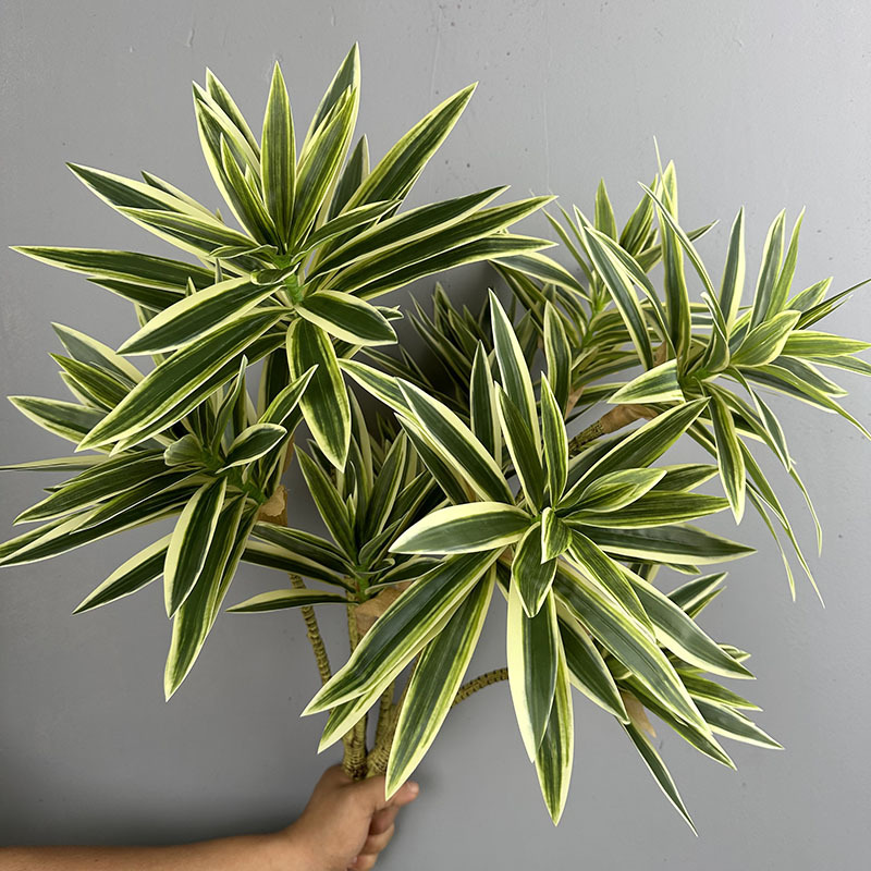 Имитация зеленых растений, 3 г – обзор и цена Dracaena Marginata