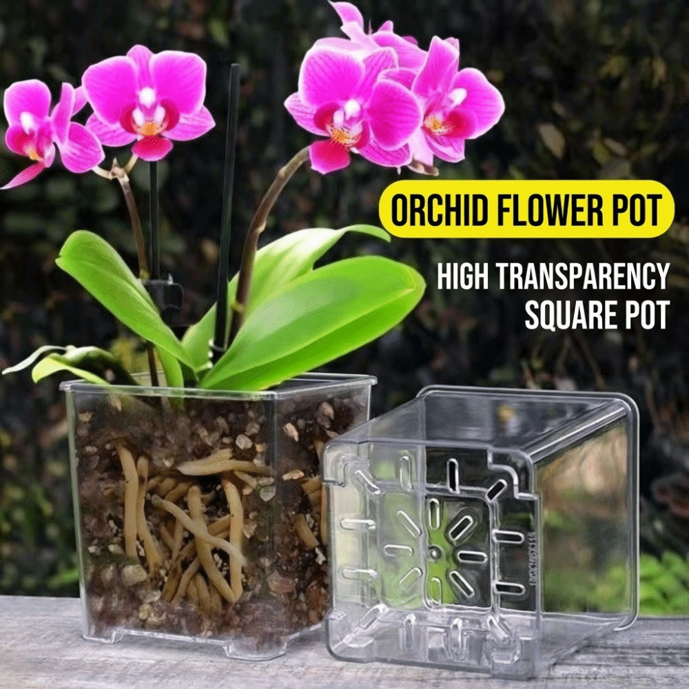 Прозрачный акриловый горшок дл – обзор и цена Aloe Vera Pot